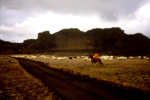 Innan við Valahnúka 1991
