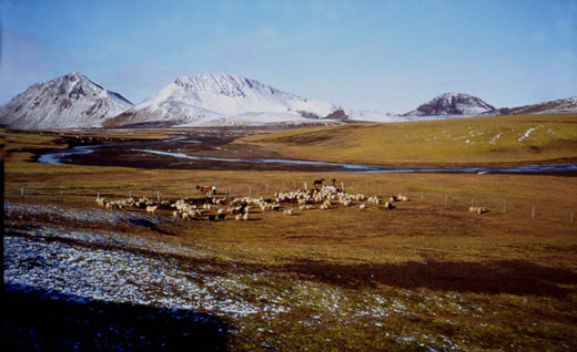 Safnið við Sátugirðingu 1973-4