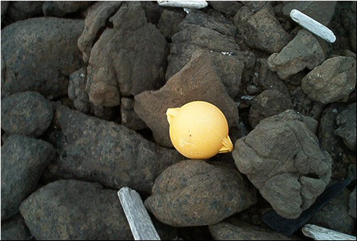 Found object 03