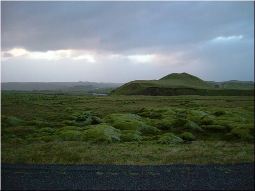 Greenn-01.JPG