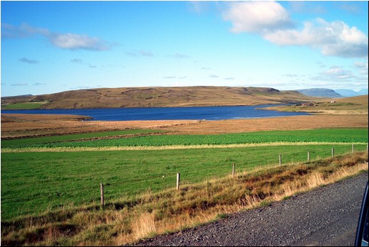 Greenn-05.jpg