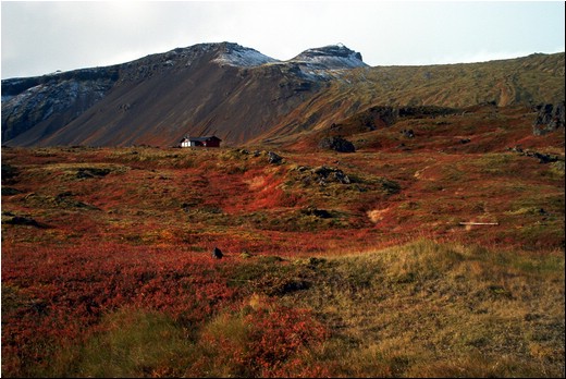 Raud-07.jpg