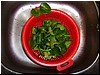 Raud-greenn01.JPG