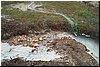 Waters23.jpg