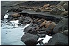 Waters28.jpg