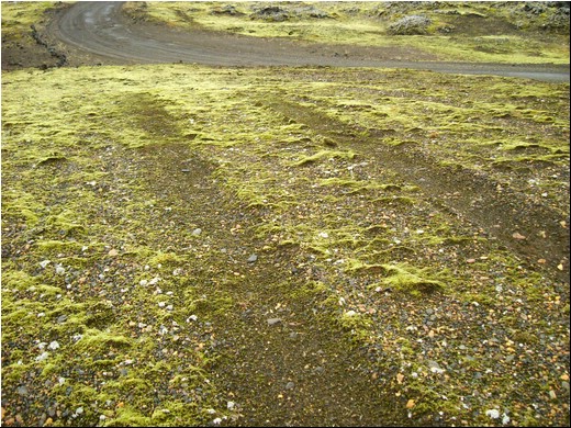 utanvega2004-07.jpg